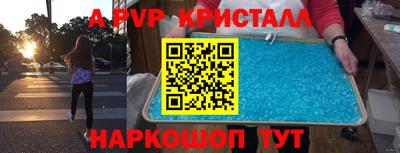 тгк Новодвинск