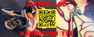 тгк Новодвинск