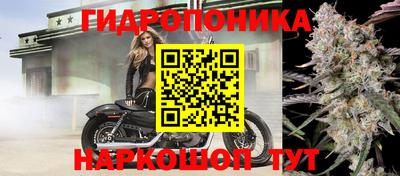 тгк Новодвинск
