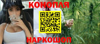 винт Новозыбков