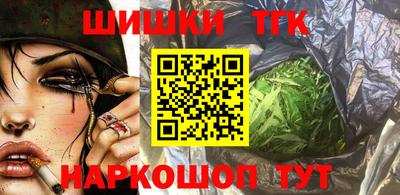тгк Новодвинск