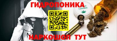 PSILOCYBIN Новокубанск