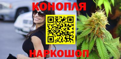 тгк Новодвинск