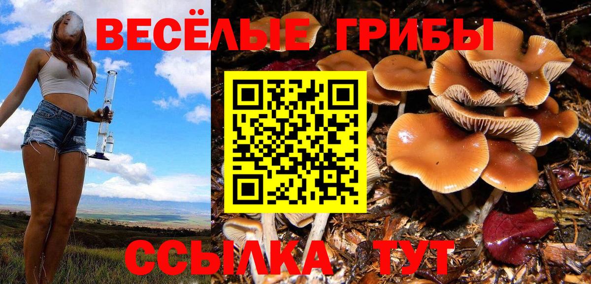 Галлюциногенные грибы ЛСД  Вход с VPN  Галлюциногенные грибы MAGIC MUSHROOMS  Карталы 