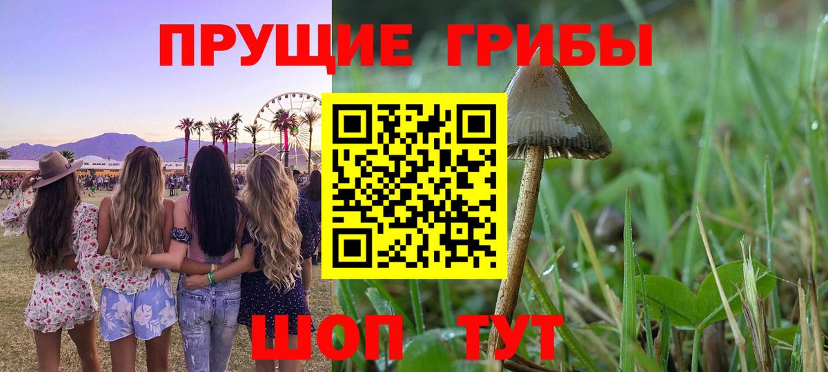 Галлюциногенные грибы MAGIC MUSHROOMS Карталы